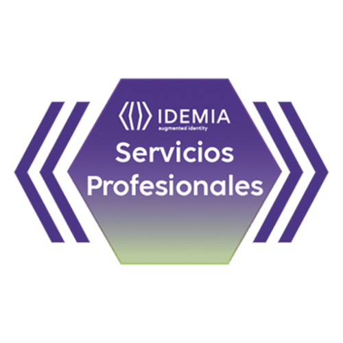 REMOTE ASSISTANCE JUNIOR 4 HORAS