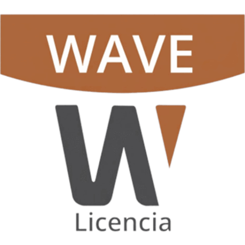 Licencia de 1 Canal de Wisenet Wave Profesional